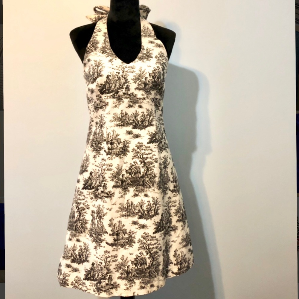 6 Stacie Page Vintage Toile De Jouy French Dress